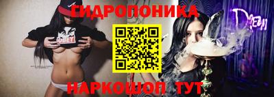 прущие грибы Можга
