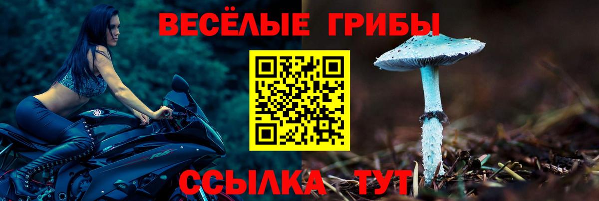 Псилоцибиновые грибы ЛСД  Вход с VPN  Арсеньев 